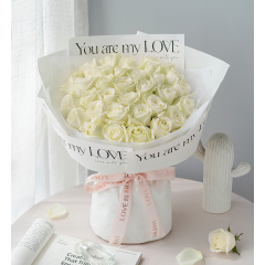 心中的白月光/33枝