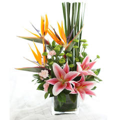 芳菲 [人间四月,芳菲华年]